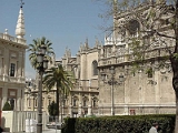 Catedral In Sevilla 7